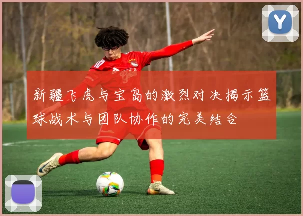 新疆飞虎与宝岛的激烈对决揭示篮球战术与团队协作的完美结合